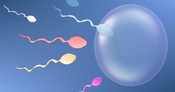 Tinh trùng đóng vai trò đặc biệt quan trọng đối với nam giới tinh trùng yếu